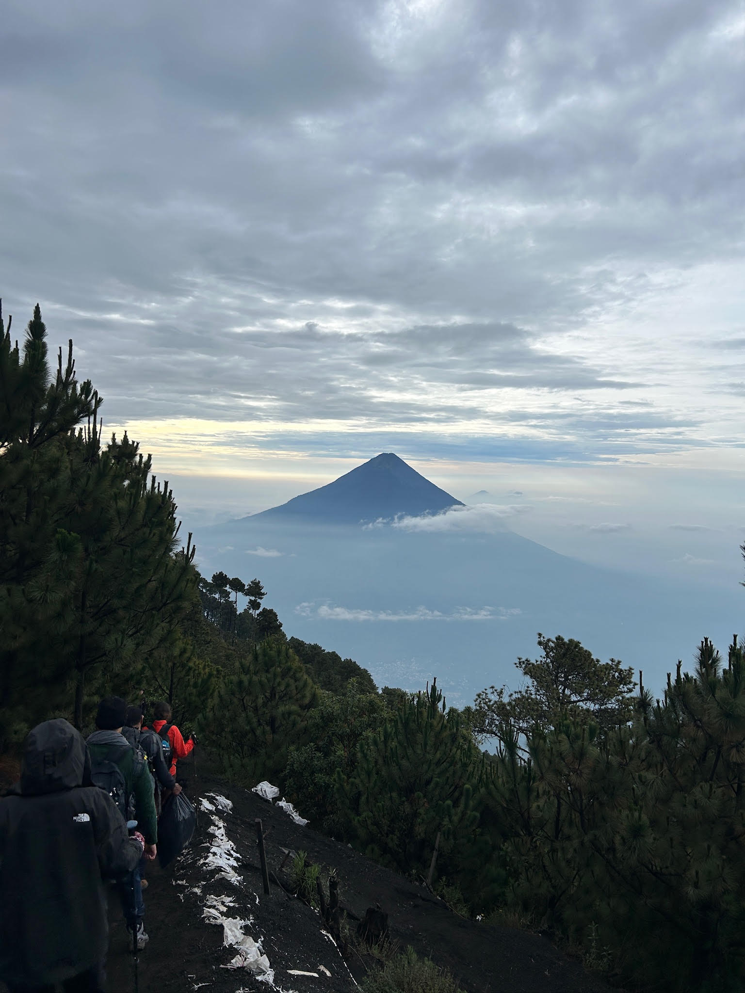 Hikers on a mountain trail overlooking a peak above the clouds